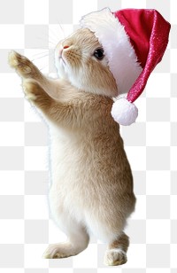 PNG Bunny wearing pink santa claus hat christmas animal rabbit.