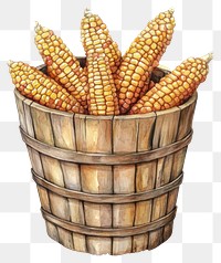 PNG Corns in wooden bucket illustration watercolor produce.