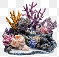 PNG Real colorful coral reef sea ocean underwater.