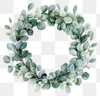 PNG Eucalyptus Wreath wreath illustration eucalyptus.