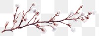 PNG Dry branchs illustration watercolor blossom.