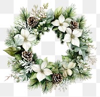 PNG Winter flower Wreath wreath illustration christmas.