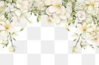 PNG Minimal white freesia flowers border painting pattern plant.