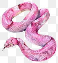 PNG Snake illustration watercolor reptile.