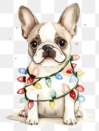 PNG Cute dog wrapped in Christmas Lights bulldog illustration christmas.