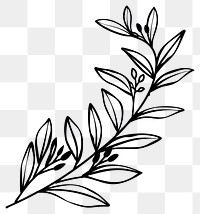 PNG Laurel branch minimalist pattern drawing.