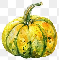 PNG Yellow green carnival pumpkin illustration watercolor vegetable.