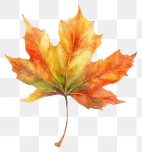 PNG Leaf floating illustration watercolor autumn.