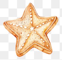 PNG Christmas Star Cookie illustration watercolor art.