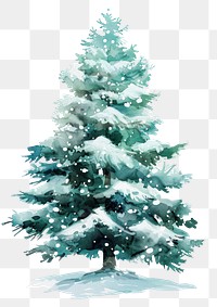 PNG Green Christmas Tree christmas tree illustration.