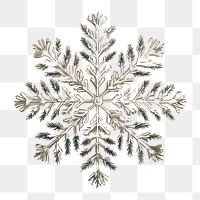 PNG Christmas snowflake illustration decoration intricate.