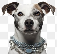 PNG Necklace dog portrait jewelry. 