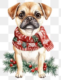 PNG Dog wearing Christmas sweater dog illustration christmas.