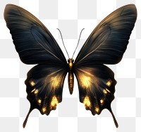 PNG Black butterfly with glowing gold invertebrate illustration appliance.