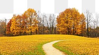 PNG Real park dirt path autumn landscape yellow.