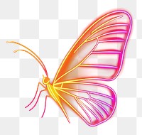 PNG Butterfly 1 wing neon illustration background.