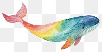 PNG Rainbow illustration watercolor whale.