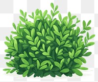 PNG Green bush illustration plant art.