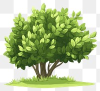 PNG Green bush trees art illustration nature.