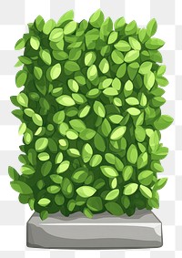 PNG Rectangle shape topiary illustration plant green.