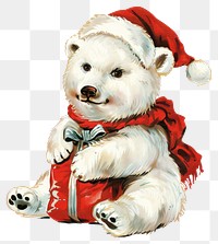 PNG Christmas polar bear christmas animal theme.