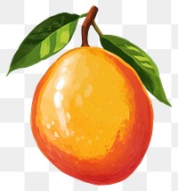 PNG Mango illustration produce orange.