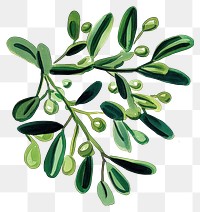 PNG Mistletoe art illustration leaves.