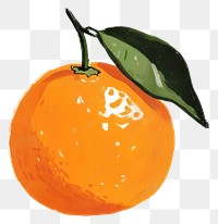 PNG Orange illustration fruit art.