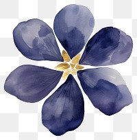 PNG Indigo floating petals watercolor painting flower.