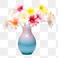 PNG Colorful flower vase decoration plant white background. 