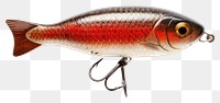 PNG Fishing bait animal white background electronics. 