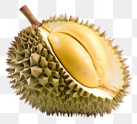 PNG Durian fruit plant food. 