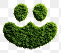 PNG Cat footprint icon plant green leaf.