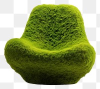 PNG Chair icon plant green moss.