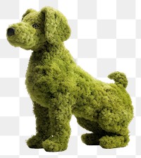 PNG  Dog animal mammal poodle. 