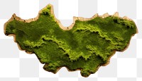 PNG On wood plant leaf moss.