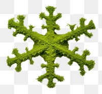 PNG Snowflake icon pattern shape plant.