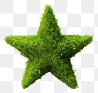 PNG  Star icon green white background echinoderm. 