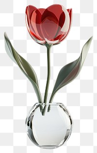 PNG Flower tulip plant vase.