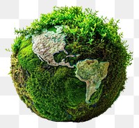 PNG  Green mossy earth sphere plant tree.