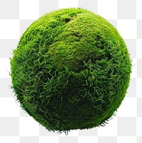 PNG  Green mossy earth sphere plant freshness.