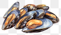 PNG  Grilled mussels seafood clam white background.