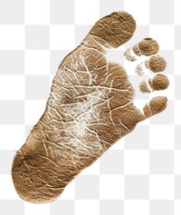 PNG The brown foot imprint of a baby on a white background footprint barefoot footwear.