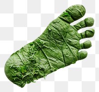 PNG The green foot imprint of a baby on a white background vegetable plant food.