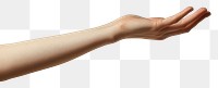 PNG Hand holding finger adult gesturing.