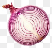 PNG Onion vegetable food white background