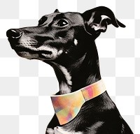 PNG Collage Retro dreamy Greyhound greyhound astronomy animal.