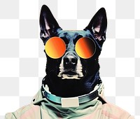 PNG Collage Retro dreamy of dog sunglasses portrait mammal.