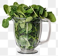 PNG Spinach leaves in a blender vegetable plant food.