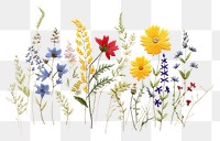 PNG  Wildflower in embroidery style pattern plant art.